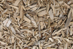biomass boilers Skirlaugh